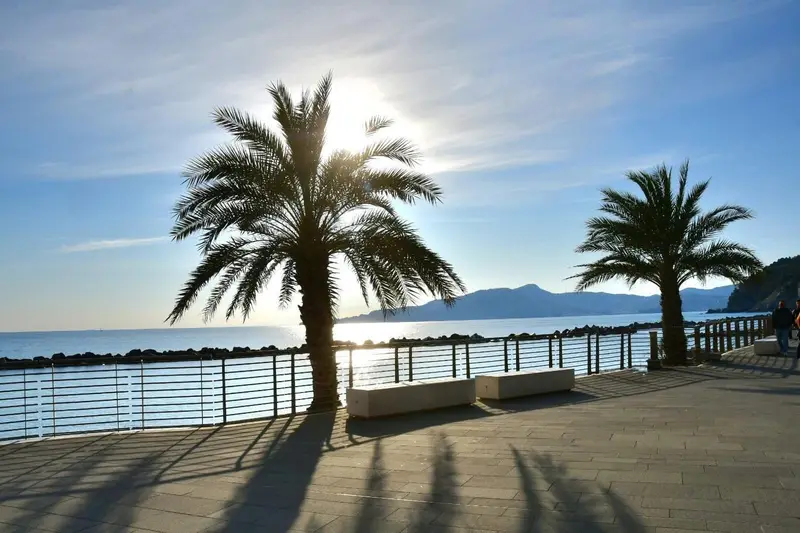 Le palme sul lungomare di Chiavari